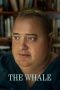 Nonton The Whale (2022) Nonton The Whale (2022)