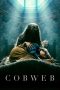 Nonton Cobweb (2023)