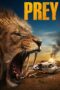 Nonton Prey (2024)