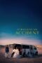 Nonton It Was Just an Accident (2025)